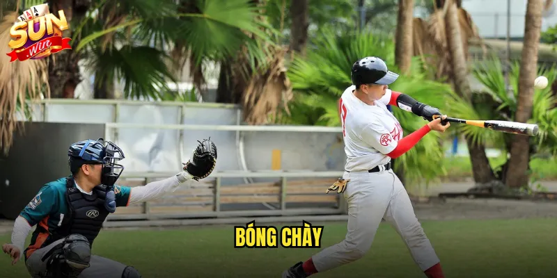 Bóng chày sunwin với MLB và các giải đấu thể thao Mỹ đỉnh cao 1 bóng chày