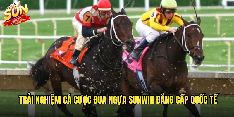 Trải nghiệm cá cược đua ngựa sunwin đẳng cấp quốc tế